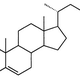 Illustration for article titled 10 Bizarre Names and Strange Origins of Real Molecules